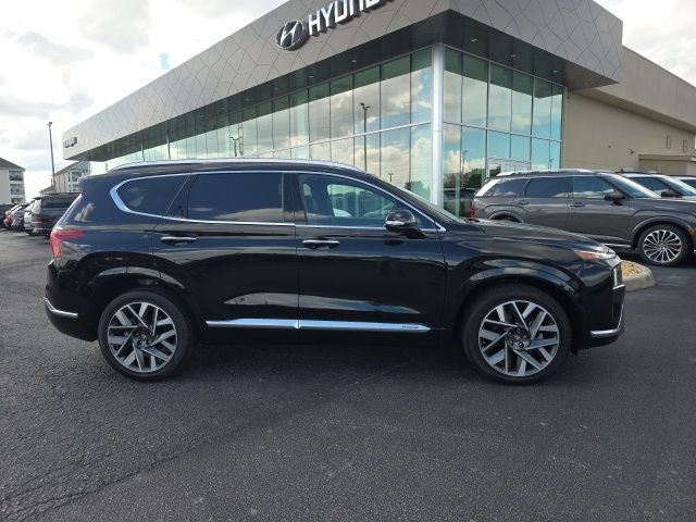 2023 Hyundai SANTA FE Calligraphy