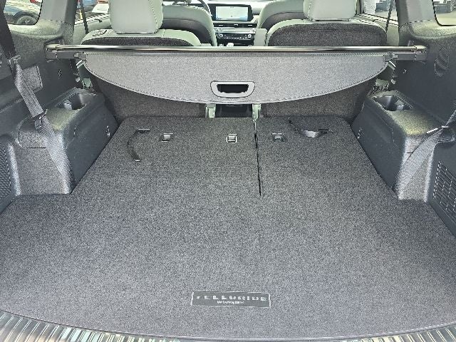 2024 Kia Telluride SX-Prestige X-Pro