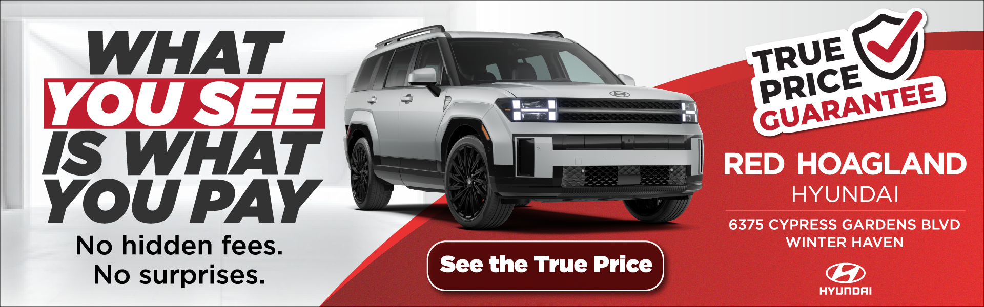 What You See is What You Get Banner