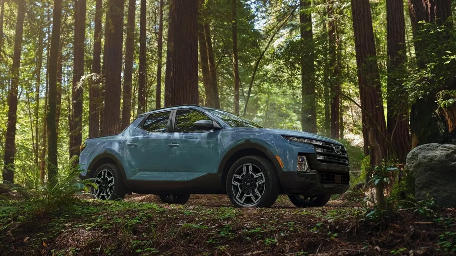 Hyundai Warranty Coverage Guide for Florida Drivers